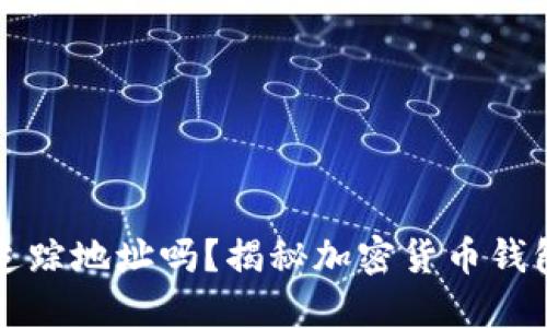 虚拟币钱包能追踪地址吗？揭秘加密货币钱包的隐私与安全