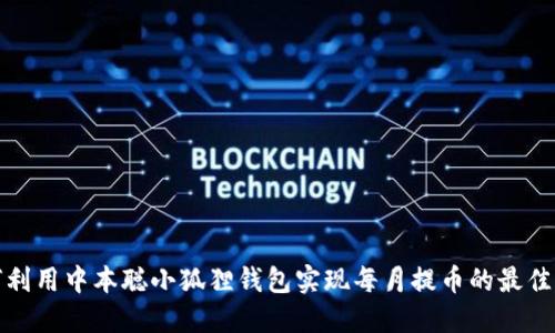 如何利用中本聪小狐狸钱包实现每月提币的最佳策略