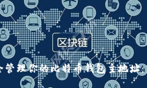 如何安全管理你的比特币钱包主地址：新手指南