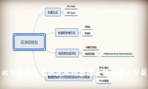 比特币钱包转账失败的原因与解决方案分析