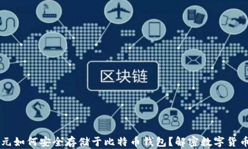 
新加坡元如何安全存储于比特币钱包？解密数字货币的未来