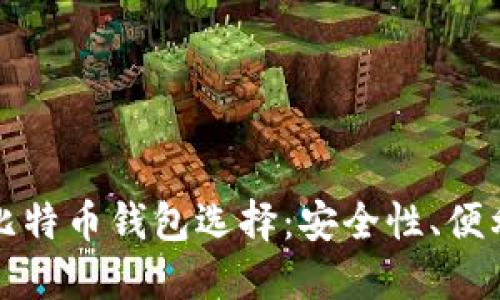 深入探讨比特币钱包选择：安全性、便利性与技巧