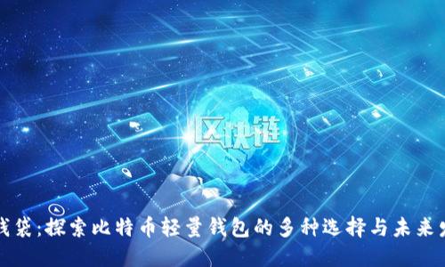 零钱袋：探索比特币轻量钱包的多种选择与未来发展