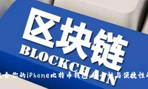 如何选择适合你的iPhone比特币钱包：安全性与便捷性的完美结合