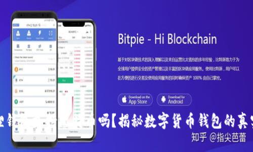 小狐狸钱包支持比特币吗？揭秘数字货币钱包的真实情况