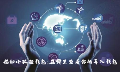 揭秘小狐狸钱包：在哪里查看你的导入钱包