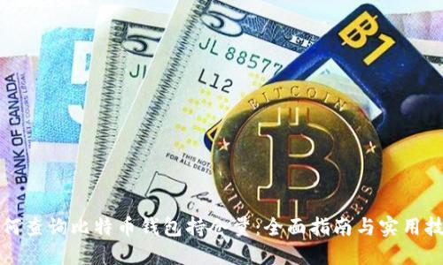 如何查询比特币钱包持仓量：全面指南与实用技巧