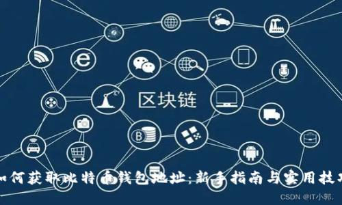 如何获取比特币钱包地址：新手指南与实用技巧
