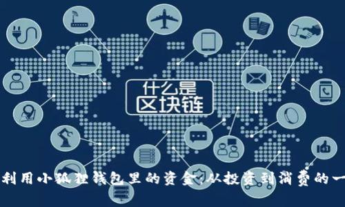 如何有效利用小狐狸钱包里的资金：从投资到消费的一站式指南