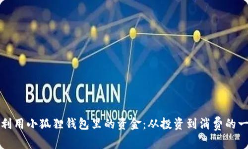 如何有效利用小狐狸钱包里的资金：从投资到消费的一站式指南
