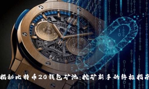 揭秘比特币20钱包矿池：挖矿新手的终极指南