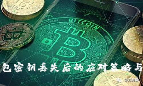 比特币钱包密钥丢失后的应对策略与恢复方法