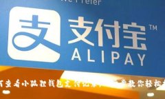 如何查看小狐狸钱包支付记录，一步步教你轻松