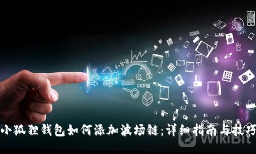 小狐狸钱包如何添加波场链：详细指南与技巧