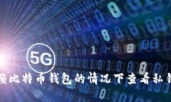 如何在不依赖比特币钱包的情况下查看私钥的探
