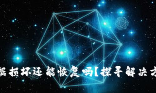 小狐狸钱包数据损坏还能恢复吗？探寻解决方案与预防措施