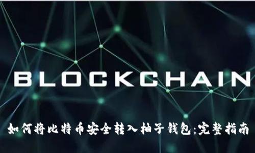 如何将比特币安全转入柚子钱包：完整指南