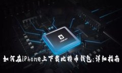 如何在iPhone上下载比特币钱包：详细指南