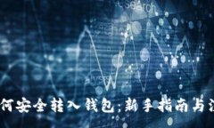 :USDT如何安全转入钱包：新手指南与注意事项