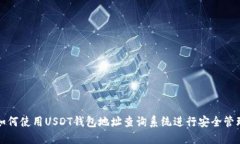如何使用USDT钱包地址查询系统进行安全管理