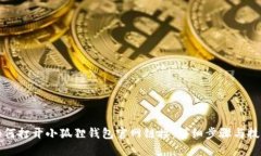 如何打开小狐狸钱包官网链接：详细步骤与技巧