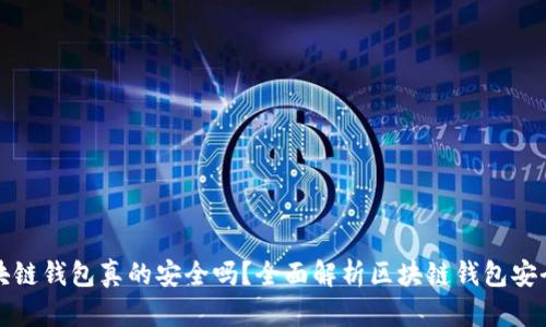 区块链钱包真的安全吗？全面解析区块链钱包安全性