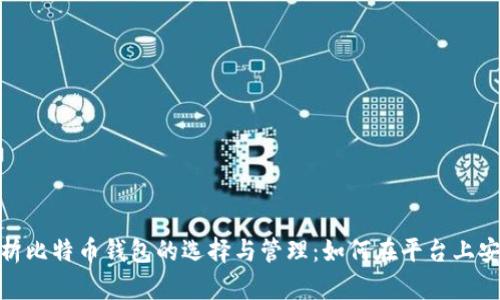全面解析比特币钱包的选择与管理：如何在平台上安全存储