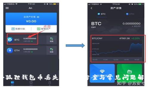小狐狸钱包币丢失的解决方案与常见问题解答