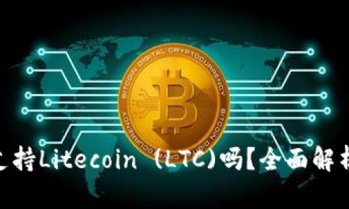 MetaMask支持Litecoin (LTC)吗？全面解析与使用指南