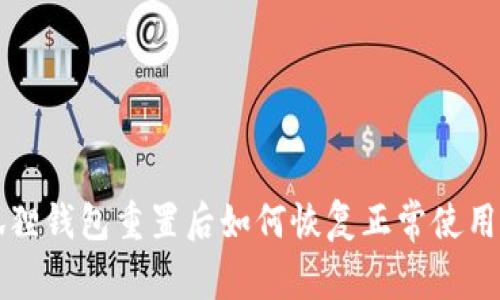 小狐狸钱包重置后如何恢复正常使用指南