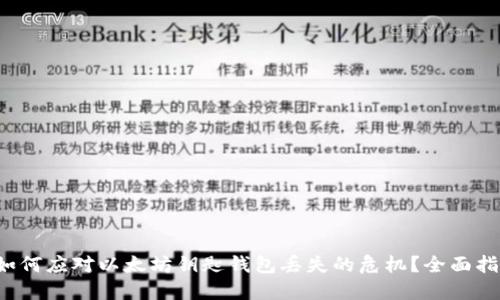 如何应对以太坊钥匙钱包丢失的危机？全面指南