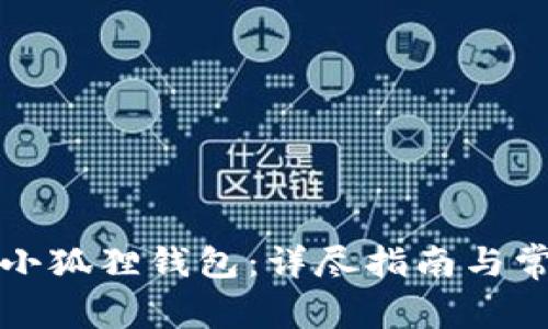 如何提现到小狐狸钱包：详尽指南与常见问题解答