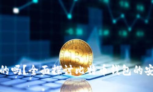 比特币钱包是真的吗？全面探讨比特币钱包的安全性与真实价值