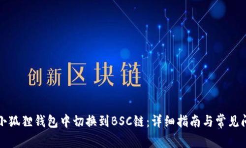 如何在小狐狸钱包中切换到BSC链：详细指南与常见问题解答