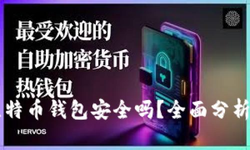 新创建的比特币钱包安全吗？全面分析和安全指南