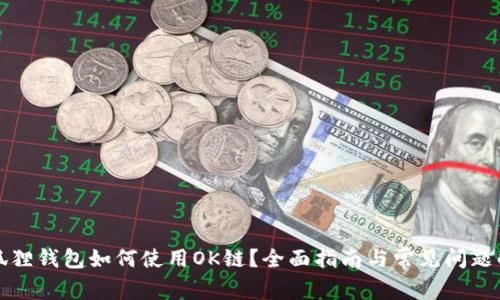 小狐狸钱包如何使用OK链？全面指南与常见问题解答