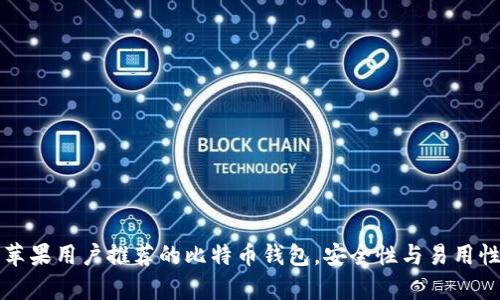 国内苹果用户推荐的比特币钱包，安全性与易用性并存