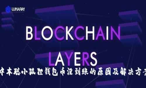 中本聪小狐狸钱包币没到账的原因及解决方案