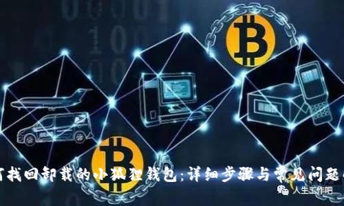 如何找回卸载的小狐狸钱包：详细步骤与常见问题解答