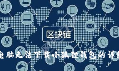 解决电脑无法下载小狐狸钱包的详细指南