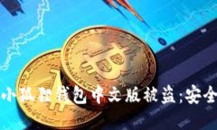 如何防止小狐狸钱包中文版被盗：安全使用指南