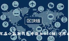 如何在小狐狸钱包中添加BSC链：详尽指南