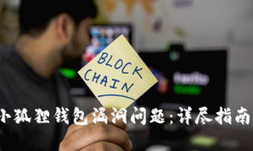  如何处理小狐狸钱包漏洞问题：详尽指南与解决方案