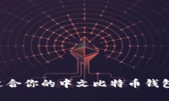 如何选择适合你的中文比特币钱包：全面指南