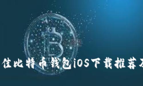 2023年最佳比特币钱包iOS下载推荐及使用指南