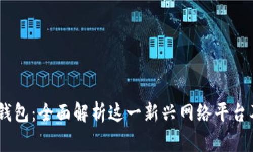 :小狐狸钱包：全面解析这一新兴网络平台及其优势