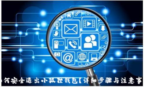   
如何安全退出小狐狸钱包？详细步骤与注意事项