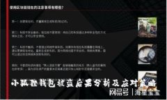 小狐狸钱包被盗后果分析及应对策略