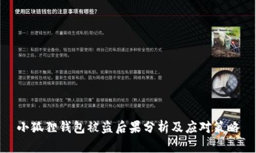 小狐狸钱包被盗后果分析及应对策略