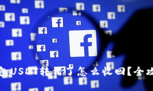 波场钱包USDT转错了怎么收回？全攻略详解